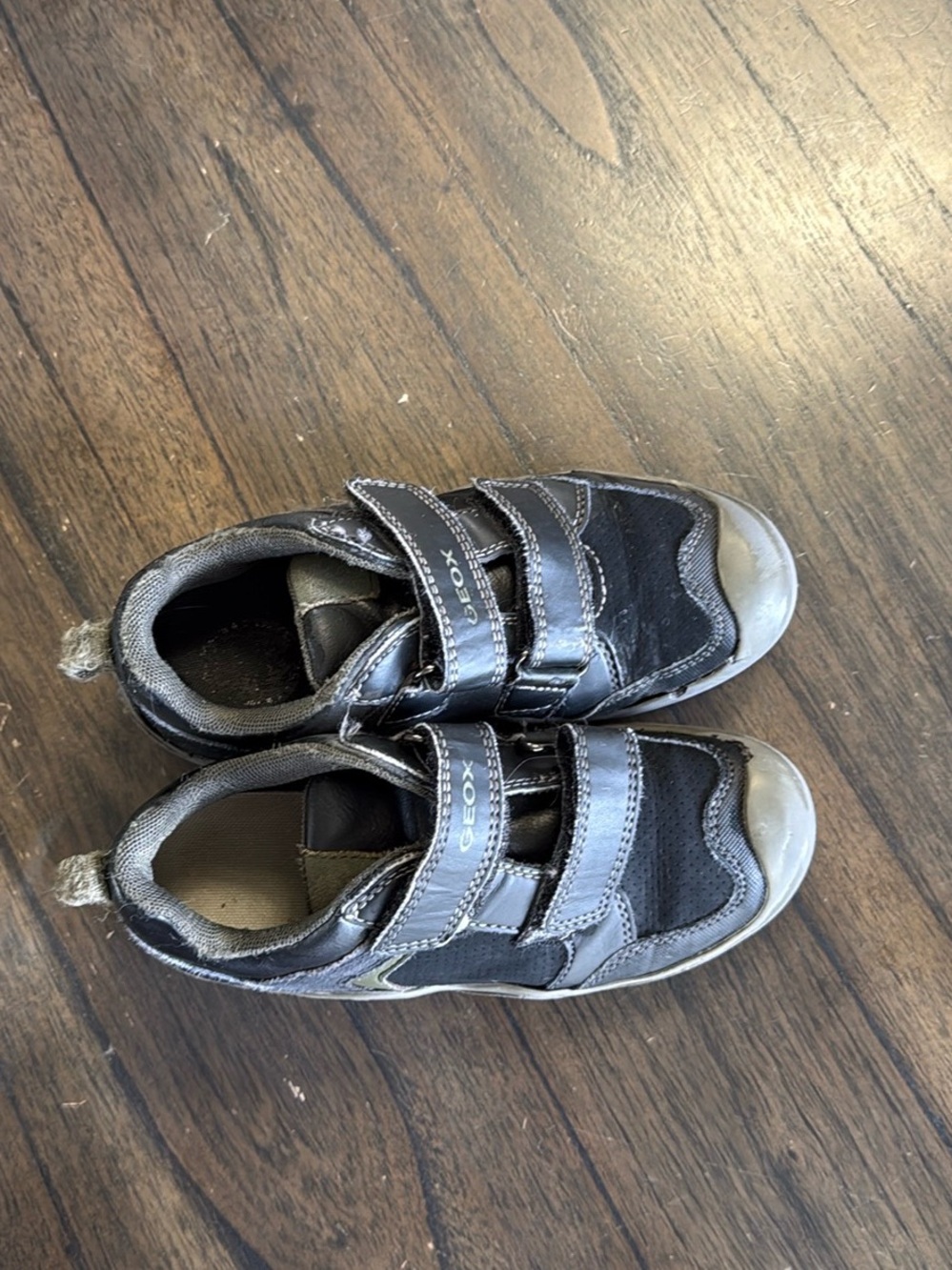 Geox Kids Black and Gray Velcro Sneakers